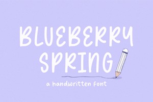 blueberry spring