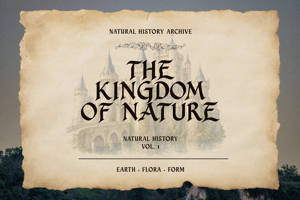 Related font Evershore