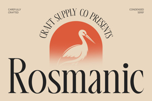 Related font Rosmanic