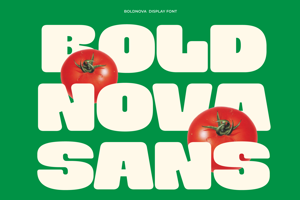 Boldnova - Bold Font