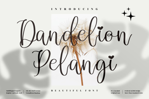 Dandelion Pelangi