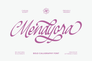 Mendyora VERSION