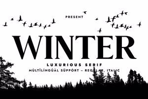 Related font WINTER