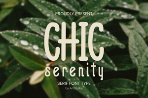 Chic Serenity