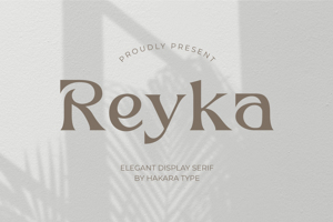 Related font Reyka