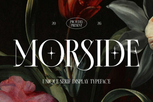 Related font Morside