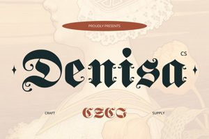 CS Denisa