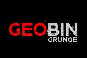 GEO Bin