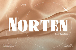 Related font Norten
