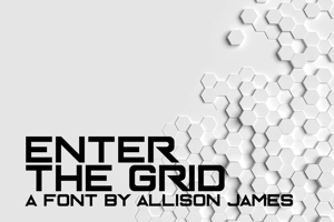 Enter The Grid