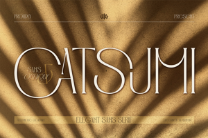 Related font Catsumi