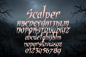 Related font Scalper