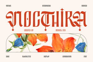 Related font Nocthira