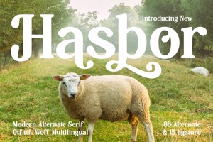 Hasbor