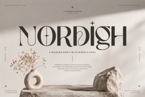 Related font Nordigh