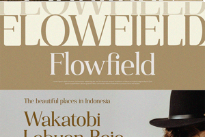 Related font Qualifies