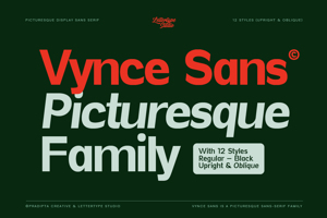 Vynce Sans Black