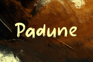 Related font Padune
