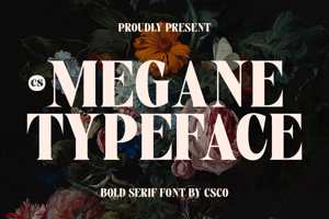 Related font CS Megane