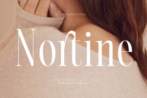 Related font Nortine