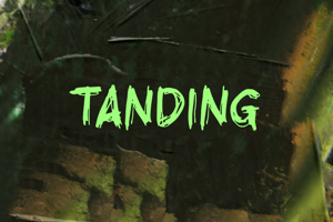 t Tanding