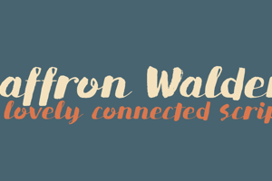 DK Saffron Walden