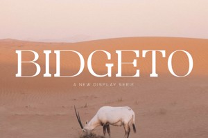 Bidgeto