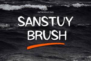 Sanstuy Brush