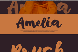 Related font Silvana