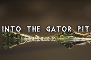 Into the Gator Pit