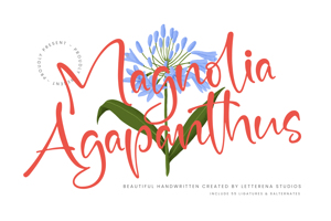 Magnolia Agapanthus VERSIO