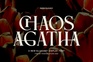 Chaos Agatha