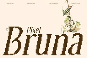 Related font CS Bruna Pixel