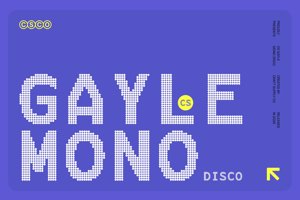 Related font CS Gayle Mono Disco