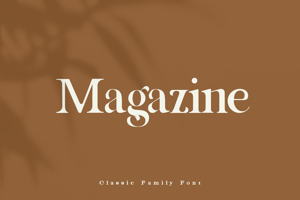Magazine