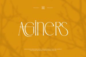 Related font Aginers