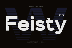 CS Feisty