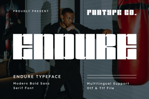 Related font Endure