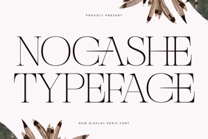 Nocashe