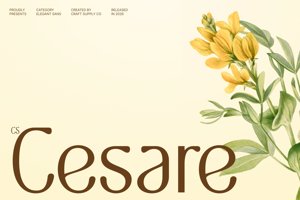 Related font CS Cesare