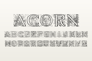 Related font Acorn Initials