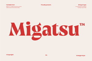 Migatsu - Display Variable Serif