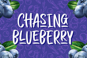 CHASING BLUEBERRY