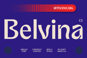 CS Belvina