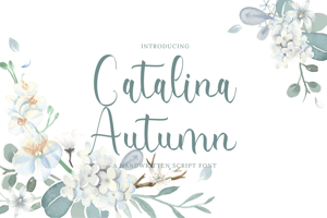 Catalina Autumn