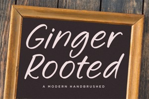Ginger Rooted