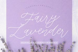 Fairy Lavender