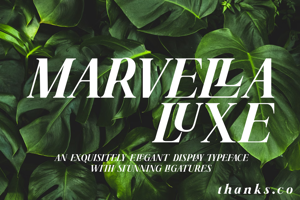 Marvella Luxe