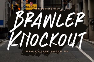 Brawler Knockout