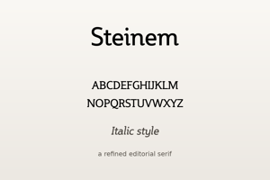 Related font Steinem
